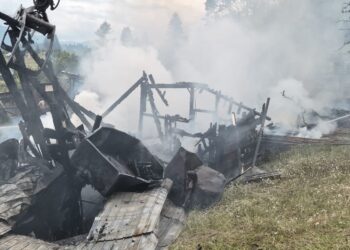 Trăsnetul a făcut prăpăd într-o gospodărie din Sărișoru Mare. Anexe, utilaje și lemne de foc distruse într-un incendiu de proporții
