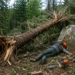 Muncitor forestier, ajuns la spital după un accident de muncă într-o pădure din Moldovița. Lovit de un arbore rupt de vânt, bărbatul a căzut și s-a lovit cu capul de o piatră de mari dimensiuni