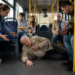 Bătrân de 79 de ani, trântit la podea într-un autobuz TPL după o frână bruscă