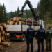 Dosar penal după controale în pădurile din zona Dornelor. Polițiștii au ”premiat” cu amenzi mai multe firme și au descoperit 60 de arbori tăiați ilegal