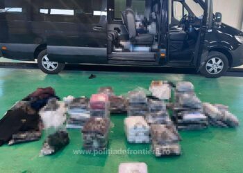 Bunuri susceptibile a fi contrafăcute, în valoare de peste 40.000 lei, descoperite în PTF Siret