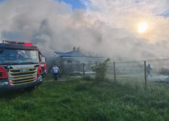 Incendiu devastator la o fermă de porci din Milișăuți, din cauza unei țigări aruncate la întâmplare. Aproximativ 50 de animale au murit, iar proprietarul nu avea asigurare