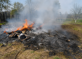 Gunoaie și vegetație uscată cuprinse de flăcări la Valea Bourei. Proprietarul susține că incendiul s-a produs prin autoaprindere