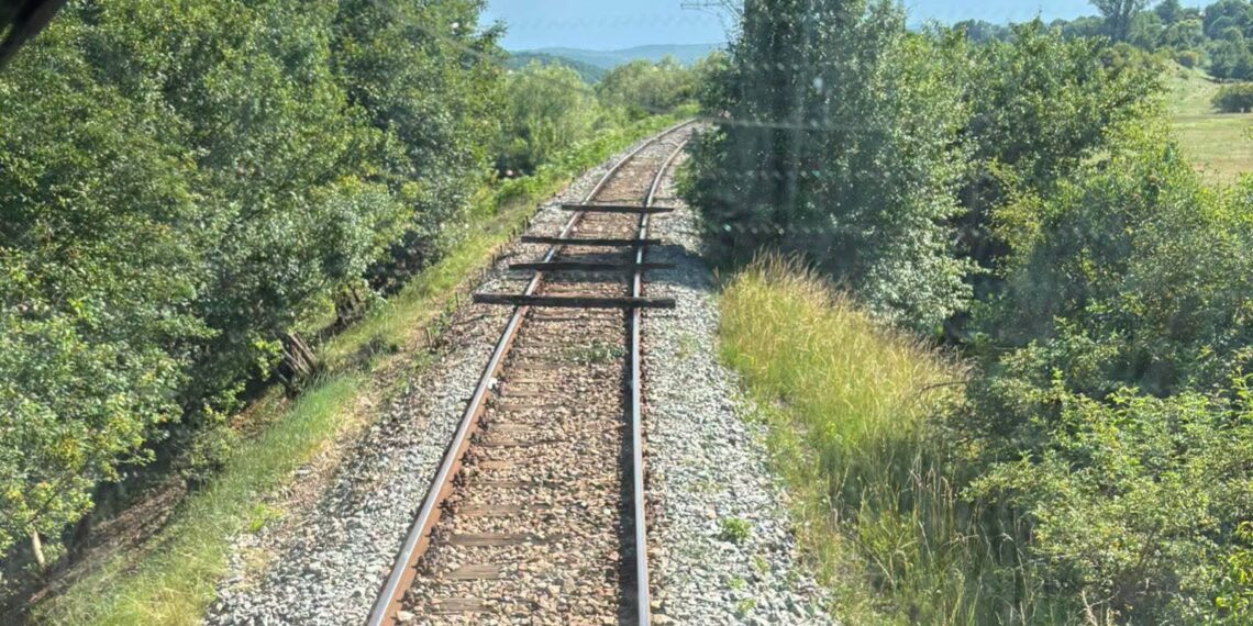 Bărbatul care a pus traverse pe calea ferată dintre Soloneț și Pârteștii de Jos a fost identificat. Suspectul de 29 de ani a fost internat la Psihiatrie