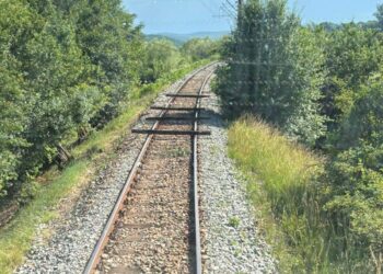 Bărbatul care a pus traverse pe calea ferată dintre Soloneț și Pârteștii de Jos a fost identificat. Suspectul de 29 de ani a fost internat la Psihiatrie