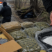 Răsturnare spectaculoasă în dosarul coletului cu cocaină și canabis de aproape 150.000 de euro, trimis din Spania printre alimente. Muncitorul de la Drumuri și Poduri care s-a ascuns de polițiști sub rădăcinile unui copac rămâne cu 15 ani de închisoare. Fiul său, condamnat inițial la 15 ani și 8 luni, scapă de detenție și primește 2 ani și 4 luni cu suspendare