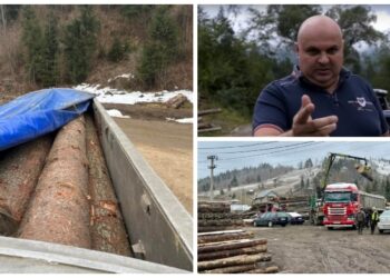 Controversatul afacerist Ilie Negură și fratele său, achitați pentru transportul ilegal de lemn, după ce expertiza a stabilit că încărcătura avea 9,76 mc. Cei doi au rămas condamnați DEFINITIV pentru furtul a 9 bușteni