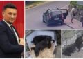Primarul din Horodnic de Jos, filmat în timp ce lasă doi căței pe marginea drumului, la Ostra. Explicația sa nu i-a convins pe cei de la Casa lui Patrocle: ”Ceea ce am văzut este abandon curat, clar și ca la carte”