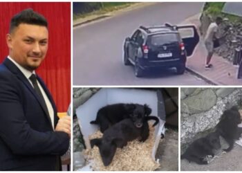 Primarul din Horodnic de Jos, filmat în timp ce lasă doi căței pe marginea drumului, la Ostra. Explicația sa nu i-a convins pe cei de la Casa lui Patrocle: ”Ceea ce am văzut este abandon curat, clar și ca la carte”