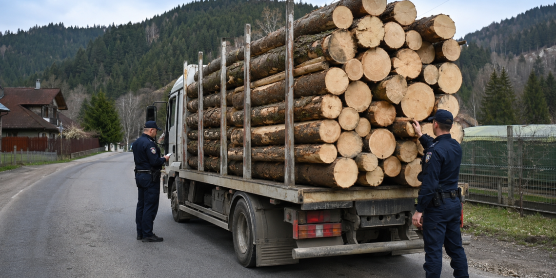 Condamnare definitivă pentru un transport ilegal de aproape 16 metri cubi de lemn. Șoferul a primit șase luni de închisoare cu suspendare, iar firma o amendă penală