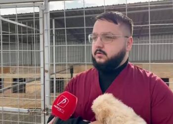Administratorul adăpostului ”Imperiul Cățeilor”, inculpat pentru uciderea fără drept a 662 de câini. 513 ar fi fost eutanasiați pe motiv de ”agresivitate”. Medicul veterinar, plasat sub control judiciar