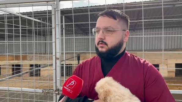 Administratorul adăpostului ”Imperiul Cățeilor”, inculpat pentru uciderea fără drept a 662 de câini. 513 ar fi fost eutanasiați pe motiv de ”agresivitate”. Medicul veterinar, plasat sub control judiciar