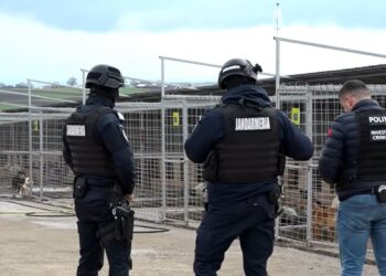 DSVSA Suceava închide robinetul capturărilor la ”Imperiul Cățeilor”. Activitatea adăpostului din Berchișești, suspendată și amenzi de 15.000 de lei, după ce colegii tatălui administratorului l-au luat la puricat în urma scandalului mediatic