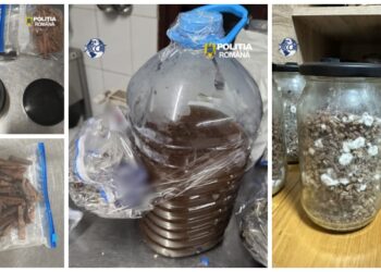 ”Amazon Weekend”, întrerupt de DIICOT. Doi șamani veniți din străinătate pentru un ritual cu Ayahuasca și ”San Pedro”, arestați preventiv. O femeie a fost plasată sub control judiciar