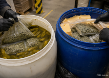 Kilograme de canabis ”Made in Dumbrăveni”, ascunse în butoaie cu murături și brânză, descoperite înainte să ajungă în Irlanda. Aproape un kilogram a fost găsit de un copil de 11 ani sub un podeț și dus părinților. ”Cultivatorul” a primit 3 ani și 10 luni de închisoare