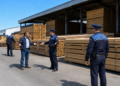 Peste 1.000 de metri cubi de cherestea ”dispăruți” dintr-un depozit din Suceava. În SUMAL existau, fizic nu. Dosar penal și confiscare de 771.213 lei
