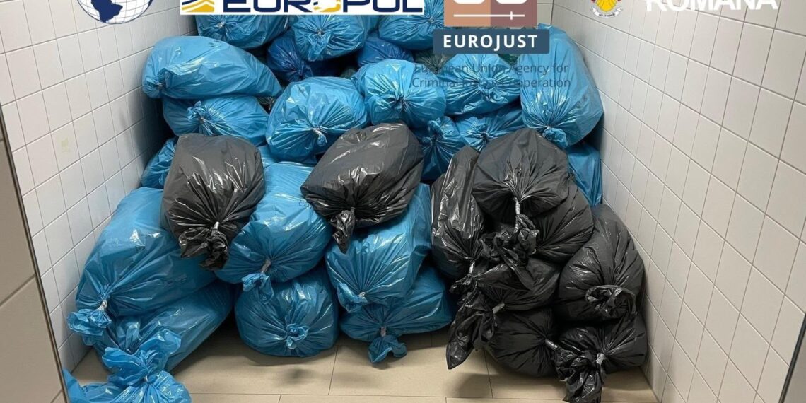 DIICOT a descins și la Câmpulung Moldovenesc într-un dosar uriaș de trafic internațional de droguri. Gruparea ar fi transportat aproape 1,7 tone de cocaină, canabis și hașiș, în valoare de până la 25 de milioane de euro