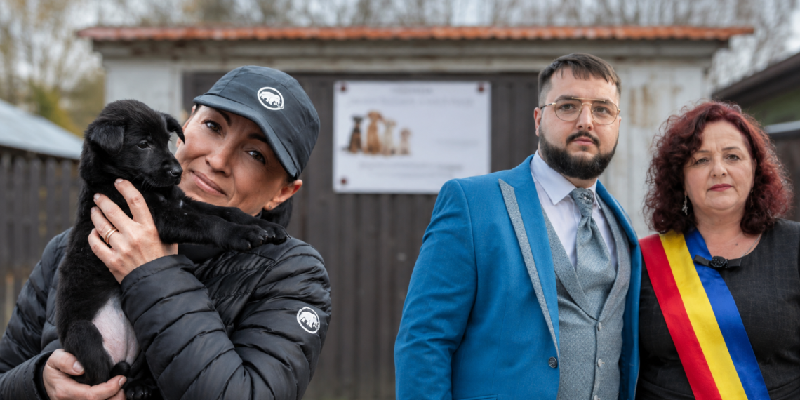 Mesajul Roxanei Ciornei, de la ”Casa lui Patrocle”, după reținerea administratorului adăpostului ”Imperiul Cățeilor”, inculpat pentru uciderea fără drept a 662 de câini: ”Dumnezeu nu doarme. Fiecare om ajunge, mai devreme sau mai târziu, în fața propriilor fapte”