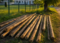 Sucevean, judecat pentru furtul a 18 stâlpi de salcâm de la Jandarmeria Suceava, scăpat basma curată după ce dosarul s-a prescris