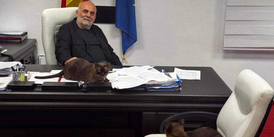 ”Nu vreau frică pe stradă!” Sterilizări gratuite în masă, patrule și camere pentru cei care abandonează câini în Suceava. Primarul Vasile Rîmbu anunță ”toleranță zero”