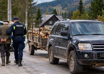 Bărbat de 73 de ani, ajuns în arest după ce a fost prins de polițiști tractând cu un Pajero neînmatriculat un atelaj cu 0,5 metri cubi de lemne fără acte. Avea permis doar pentru tractor