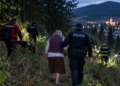 Femeie de 81 de ani, dispărută de acasă la Câmpulung Moldovenesc, găsită într-o lizieră după o amplă operațiune de căutare