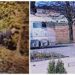 După ce a căzut ”ca împușcat” pe asfalt, s-a urcat pe bicicletă și a plecat la drum cu genunchii ”de gumă”, în zig-zag printre camioane și mașini