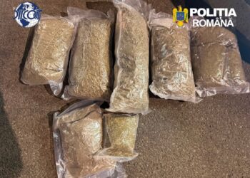 Trei tineri, arestați după ce au fost prinși cu peste 5 kilograme de canabis în Bihor