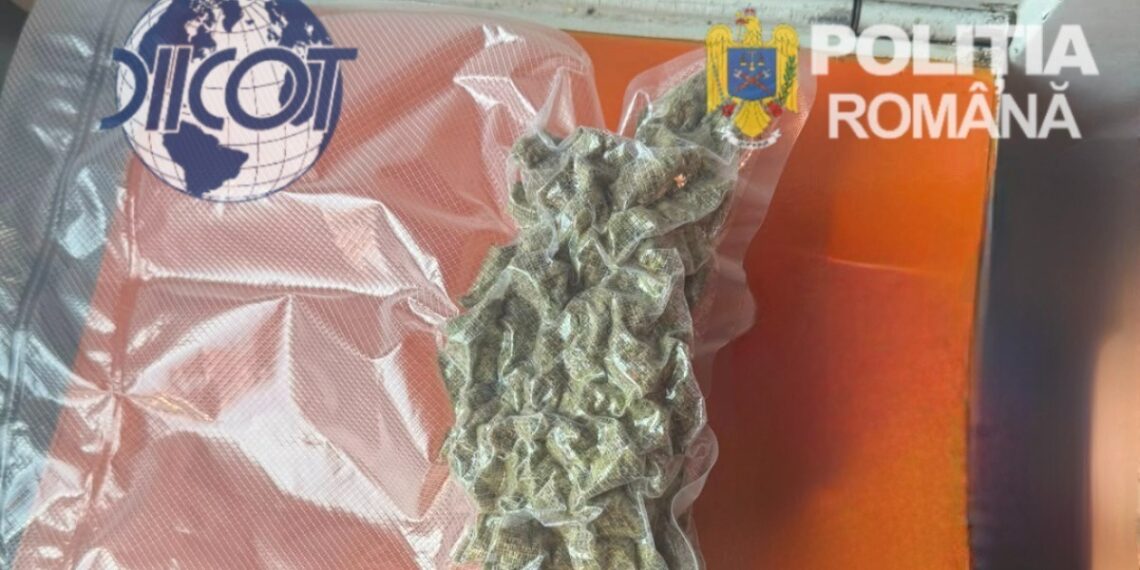 Tânăr de 28 de ani, prins în tren cu aproximativ 100 de grame de canabis. A fost arestat preventiv pentru 30 de zile