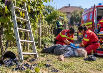Bărbat de 68 de ani, găsit inconștient după ce a căzut de pe o scară în timp ce culegea struguri