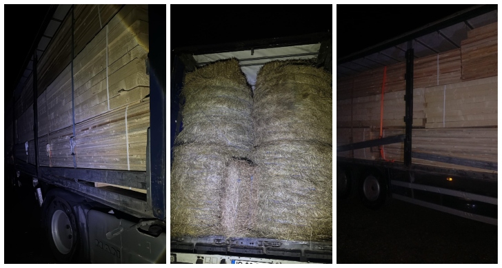 TIR cu ”surprize” la Poiana Stampei. După patru baloți de fân, polițiștii au descoperit 53 de metri cubi de cherestea fără acte. Marfa și ansamblul auto, indisponibilizate