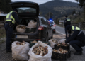 225 de kilograme de hribi, confiscate la Fundu Moldovei. Șoferul nu avea documente pentru transport