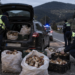 225 de kilograme de hribi, confiscate la Fundu Moldovei. Șoferul nu avea documente pentru transport