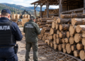 Polițiștii și Garda Forestieră au verificat un depozit de lemne din Moldovița. Amendă de 5.000 de lei și confiscare pentru aproape 16 mc de lemn