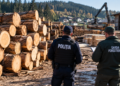 Aproape 18 metri cubi de lemn găsiți în plus la un depozit din Vatra Moldoviței. Firma a primit amenzi de 10.000 de lei, iar marfa fără acte a fost confiscată valoric