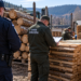 Controale silvice în zona Vatra Dornei. Două firme amendate cu 15.000 de lei. Lemn fără proveniență legală, confiscat
