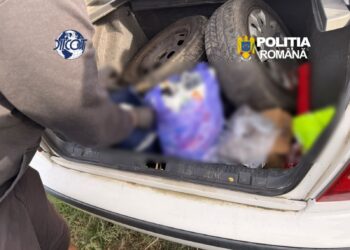 Doi bărbați, arestați în două dosare de trafic de droguri. Unul ascundea 300 de grame de canabis într-o mașină parcată pe un teren, celălalt vindea ”cristal” cu până la 2.500 de lei