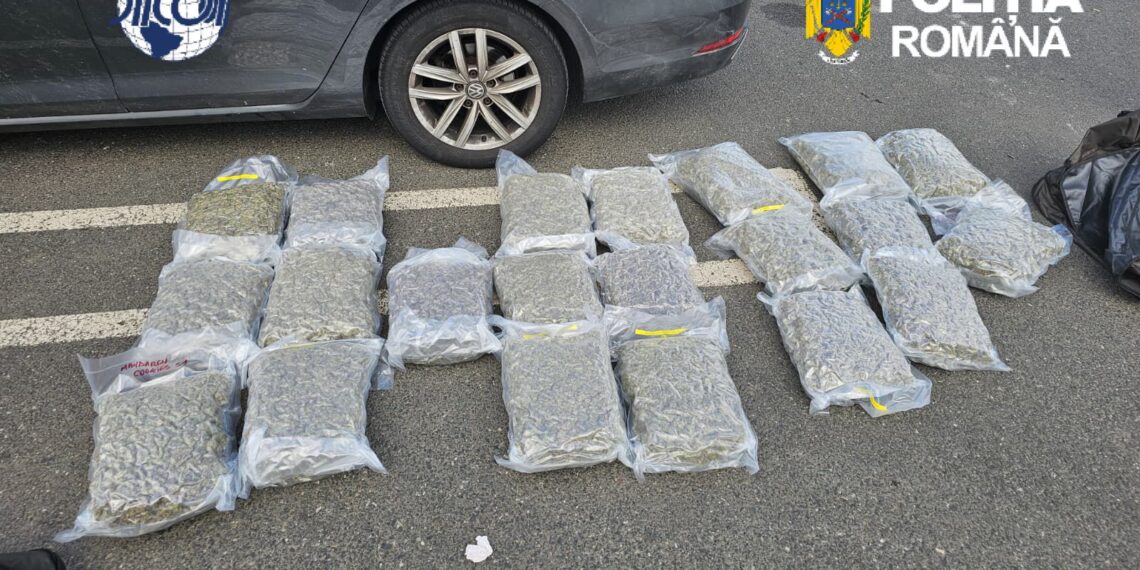 Prins în flagrant cu aproximativ 21 de kilograme de canabis. Drogurile urmau să fie vândute cu 70.000 de euro