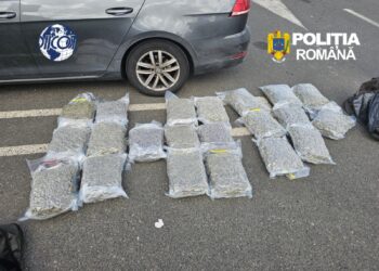 Prins în flagrant cu aproximativ 21 de kilograme de canabis. Drogurile urmau să fie vândute cu 70.000 de euro