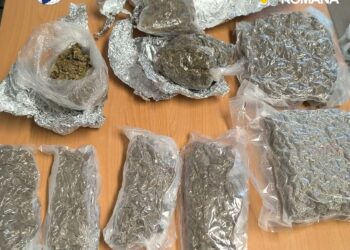 Prins în flagrant cu 1,7 kilograme de canabis ascunse într-o autoutilitară. Un bărbat de 36 de ani a fost arestat pentru 30 de zile