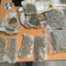 Prins în flagrant cu 1,7 kilograme de canabis ascunse într-o autoutilitară. Un bărbat de 36 de ani a fost arestat pentru 30 de zile