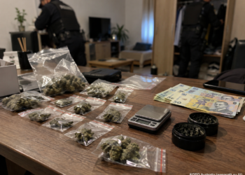 Recidivist de 65 de ani și doi tineri de 20 de ani, reținuți într-un dosar de trafic de canabis. Drogurile erau vândute cu 250-300 de lei