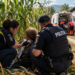 Femeie din Petia, înjunghiată în gât de propriul fiu. Polițiștii au găsit-o ascunsă într-un lan de porumb și i-au oprit hemoragia. Agresorul a fost reținut