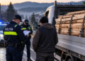 Cherestea transportată fără acte, descoperită de polițiști la Fântâna Mare. Patru metri cubi de molid au fost confiscați