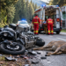 Motociclist rănit după ce o căprioară a ieșit din pădure și a intrat în motocicletă. Animalul a murit în urma impactului