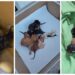Pui de pisică nou-născuți, abandonați într-o cutie lângă Pedagogic. Erau plini de larve și muște, iar placenta era încă atașată de pui. Polițiștii i-au dus de urgență la o femeie care s-a oferit să-i salveze