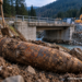 Proiectil din Al Doilea Război Mondial, descoperit în timpul unor lucrări la un pod din Cîrlibaba