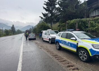 Razie de amploare la Câmpulung Moldovenesc. 109 amenzi de aproape 94.000 de lei, lemn și hribi confiscați