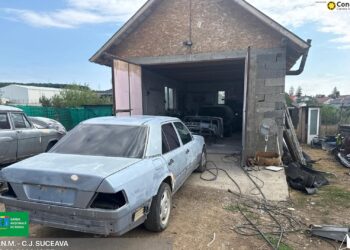Service auto clandestin, descoperit de Garda de Mediu în municipiul Suceava. Activitatea a fost suspendată, iar proprietarul a primit amenzi de 25.000 de lei