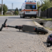 Fetiță de 12 ani din Salcea, ajunsă la UPU după ce a căzut cu trotineta. Mama acesteia a fost sancționată de polițiști
